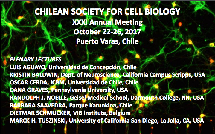 XXXI Annual Meeting of Chilean Society for Cell Biology graphic