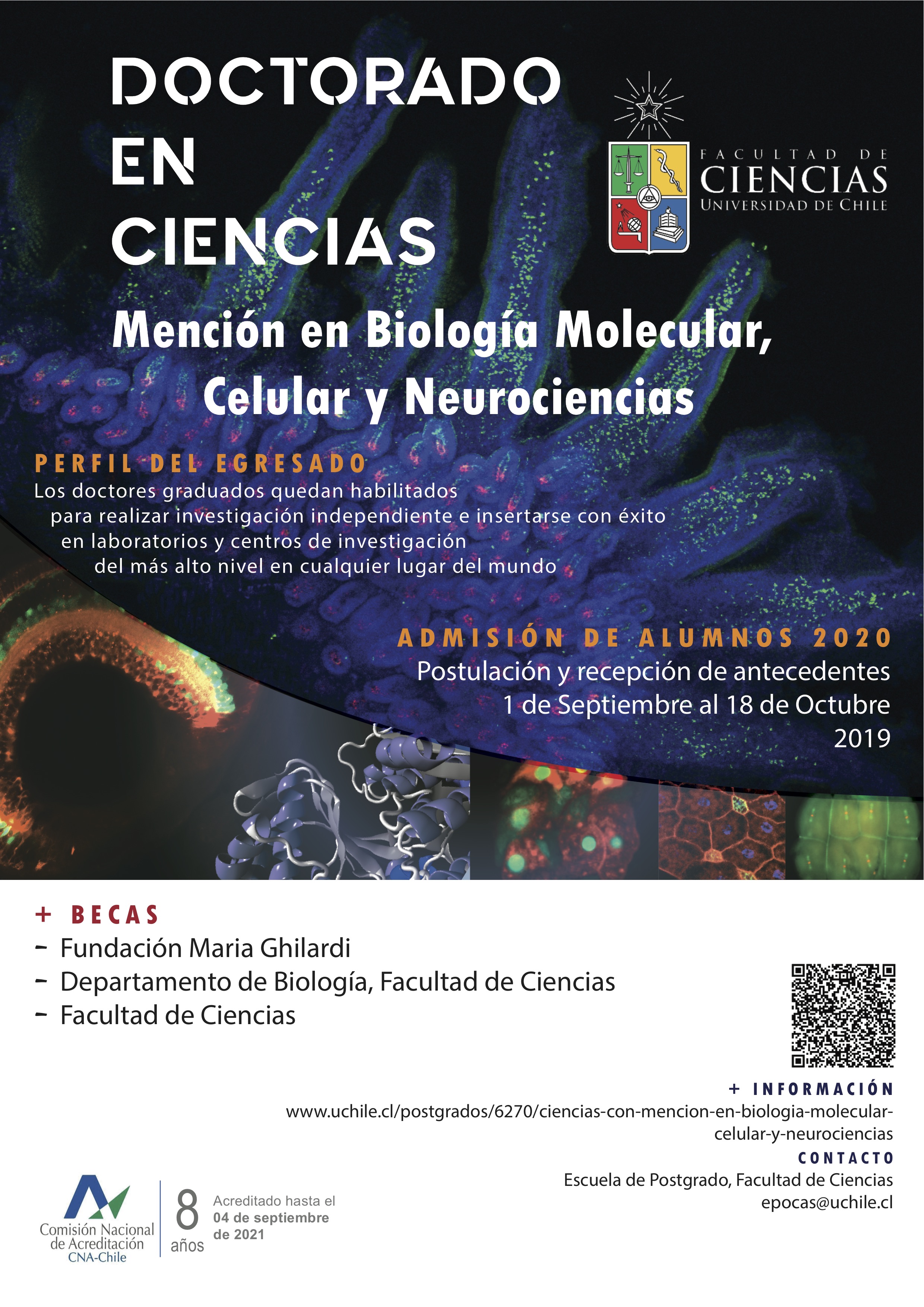Doctorado en Ciencias, Universidad de Chile graphic